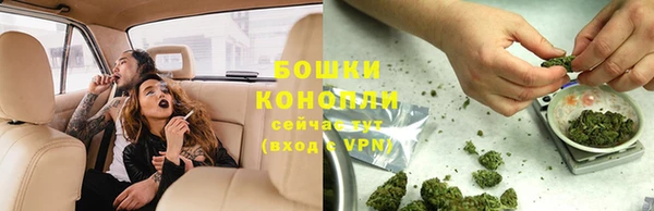 мдпв Инта