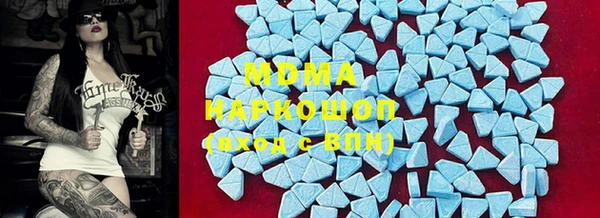 мдпв Инта