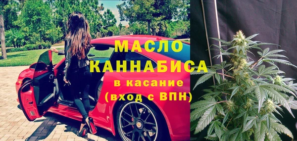 мдпв Инта