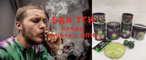 мдпв Инта