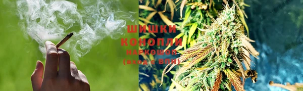 ECSTASY Иннополис